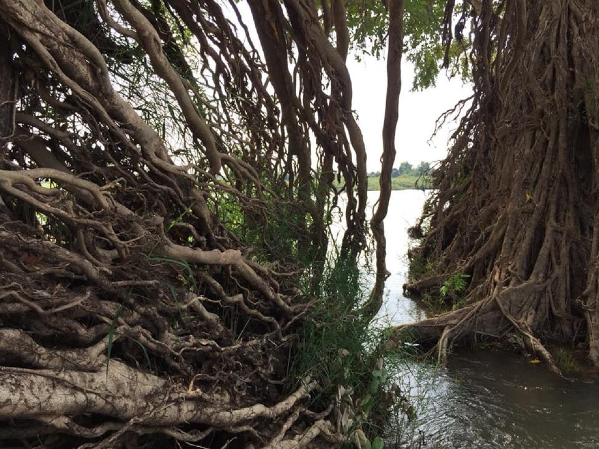Tonle Sap Floating Village Tour