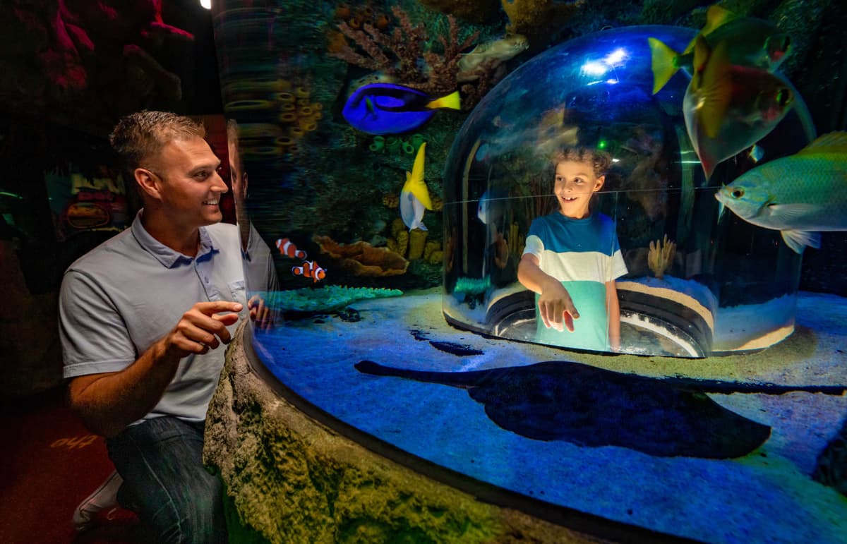 SEA LIFE Orlando Aquarium Ticket