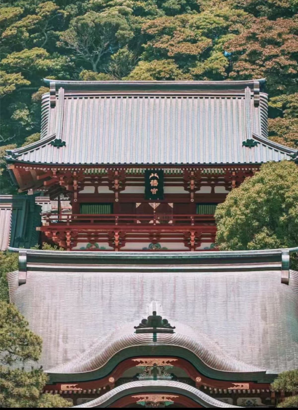 Kotoku-in Temple and Enoshima Day Tour from Tokyo
