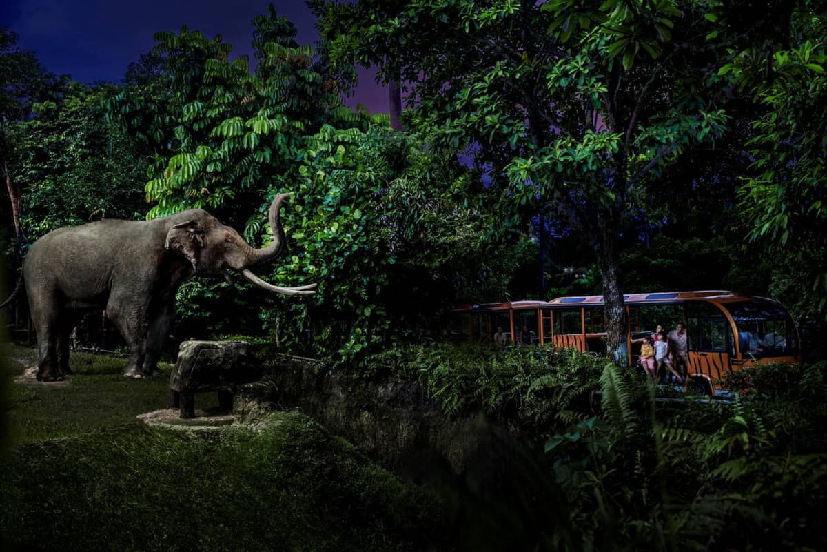 2-Park Destination Pass: Singapore Night Safari + River Wonders Tickets