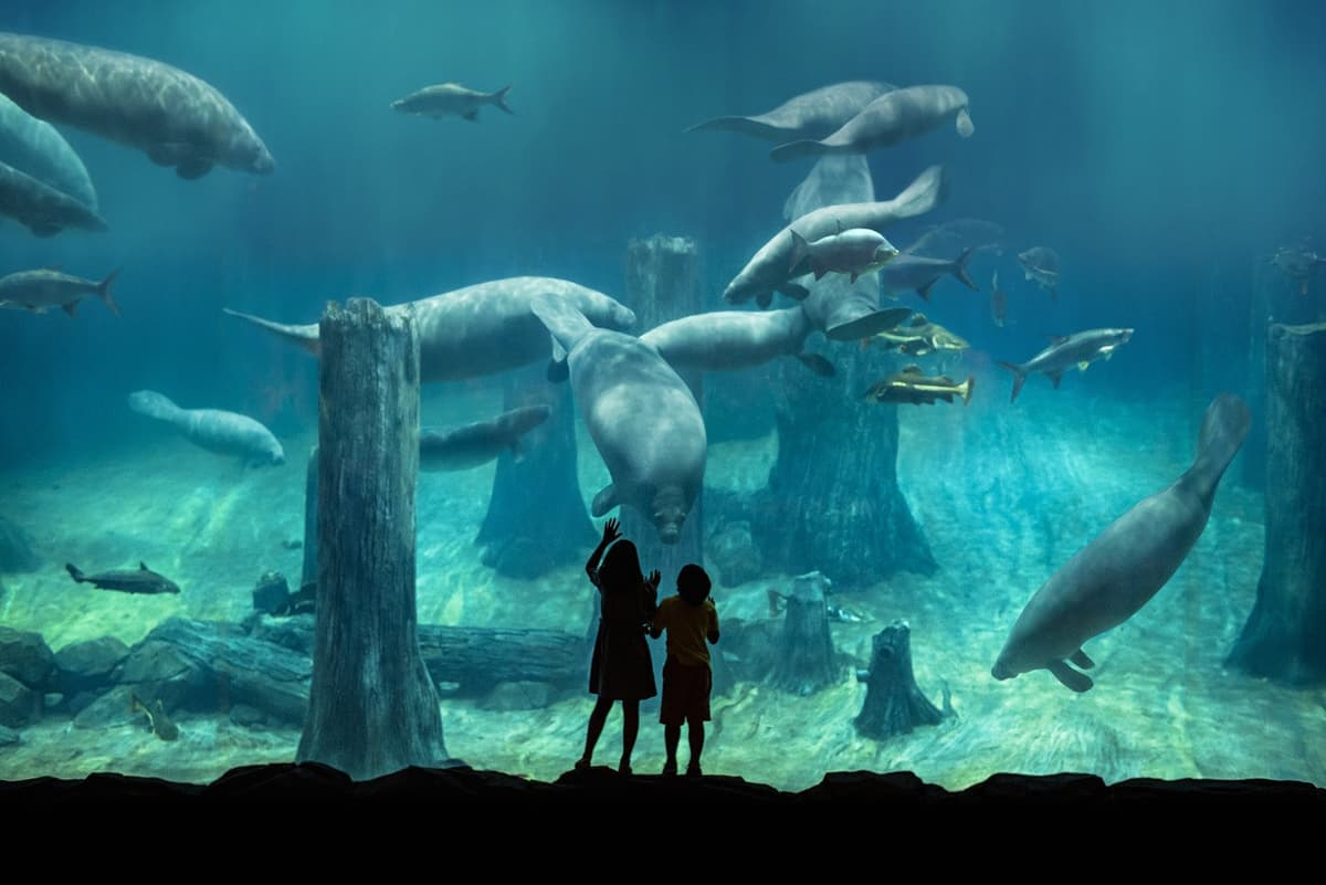 2-Park Destination Pass: Singapore Night Safari + River Wonders Tickets