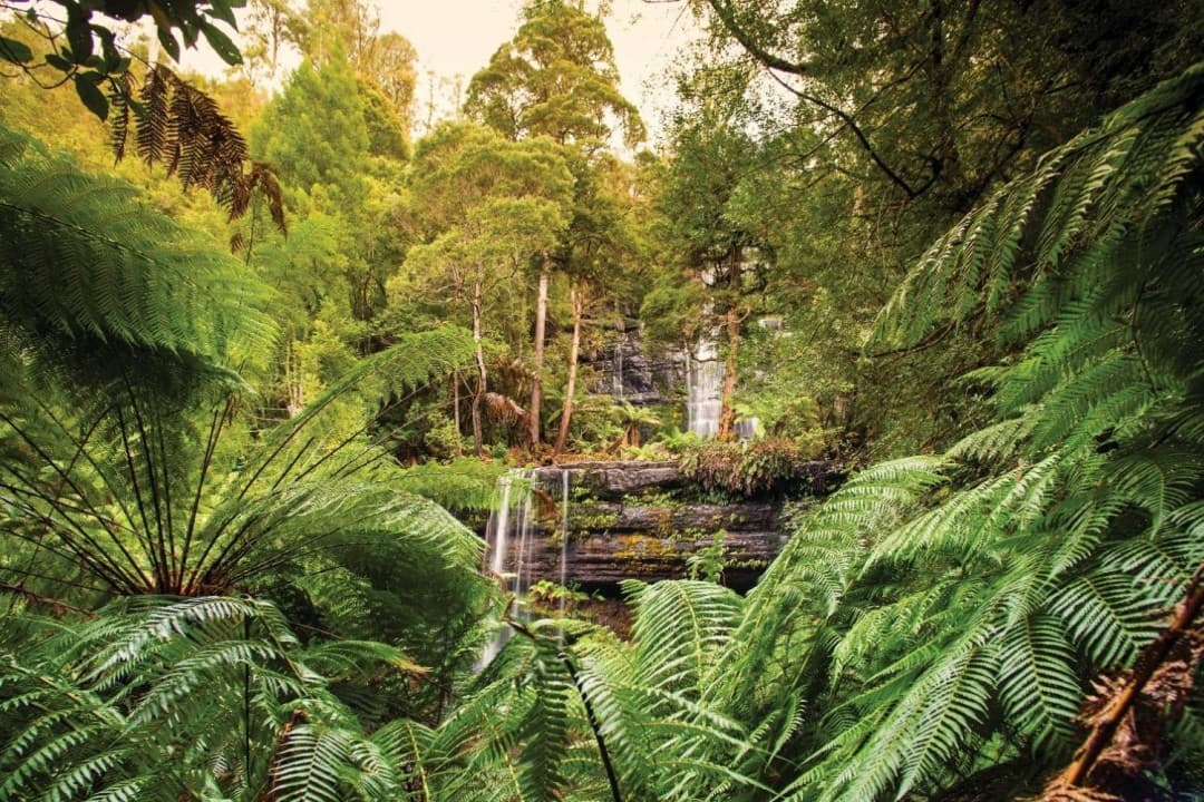 Russell Falls Tour from Hobart