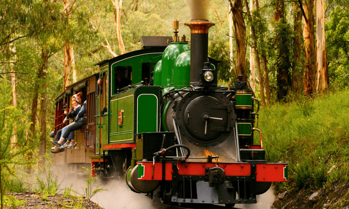 Puffing Billy Steam Train Half-Day Tour