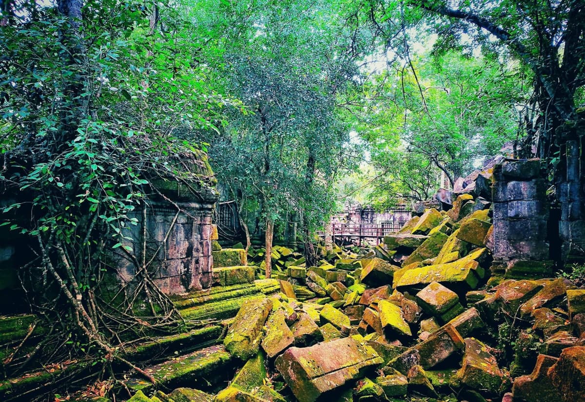Beng Mealea and Koh Ker Temples Tour from Siem Reap