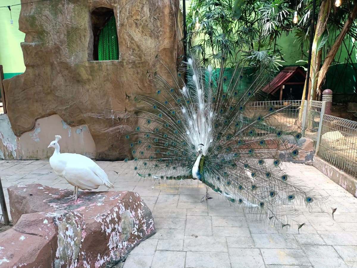 Langkawi Wildlife Park