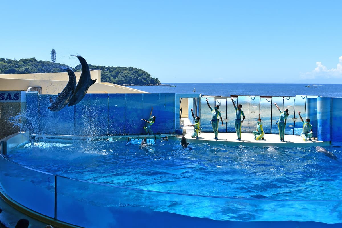 Enoshima Aquarium