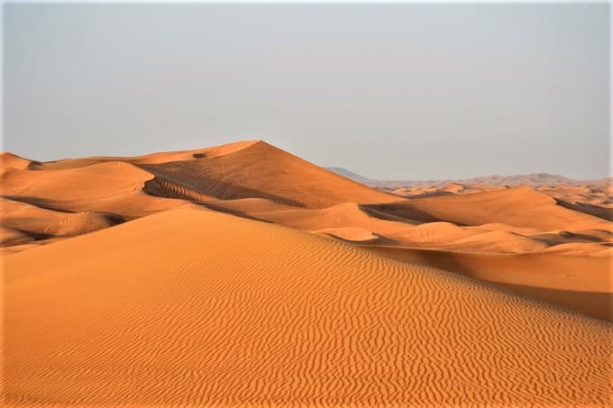 Morning Desert Safari Tour from Dubai