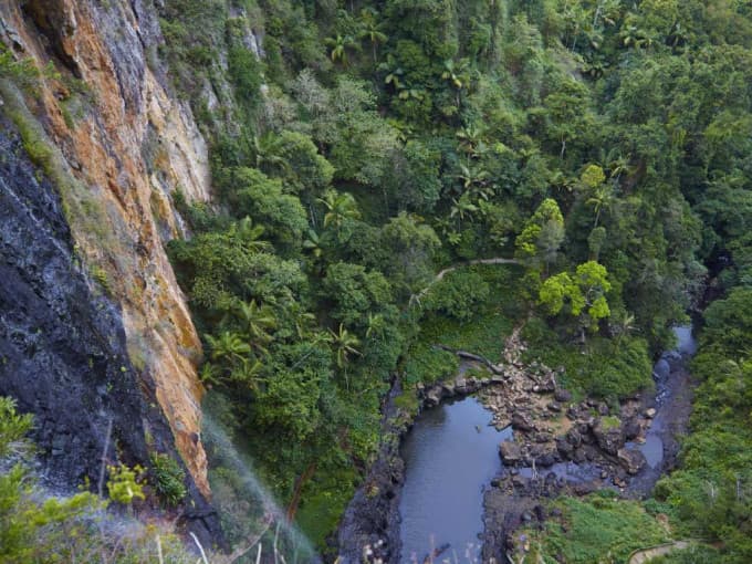 O'Reilly's Green Mountains Tour from the Gold Coast