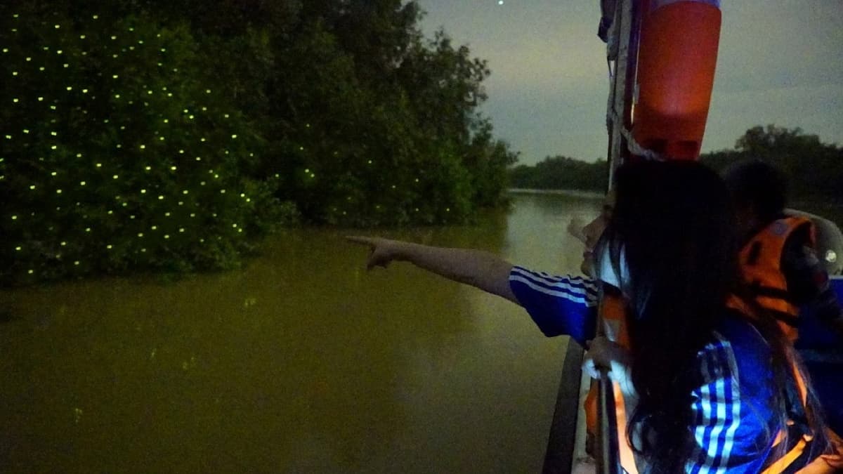 Fireflies Boat Cruise in Kuala Selangor