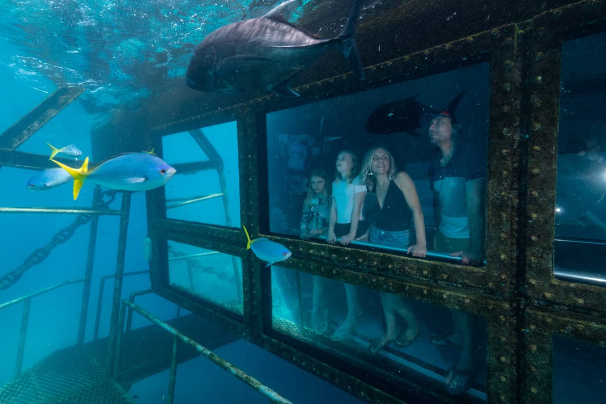 Reef Magic Pontoon Tour from Cairns