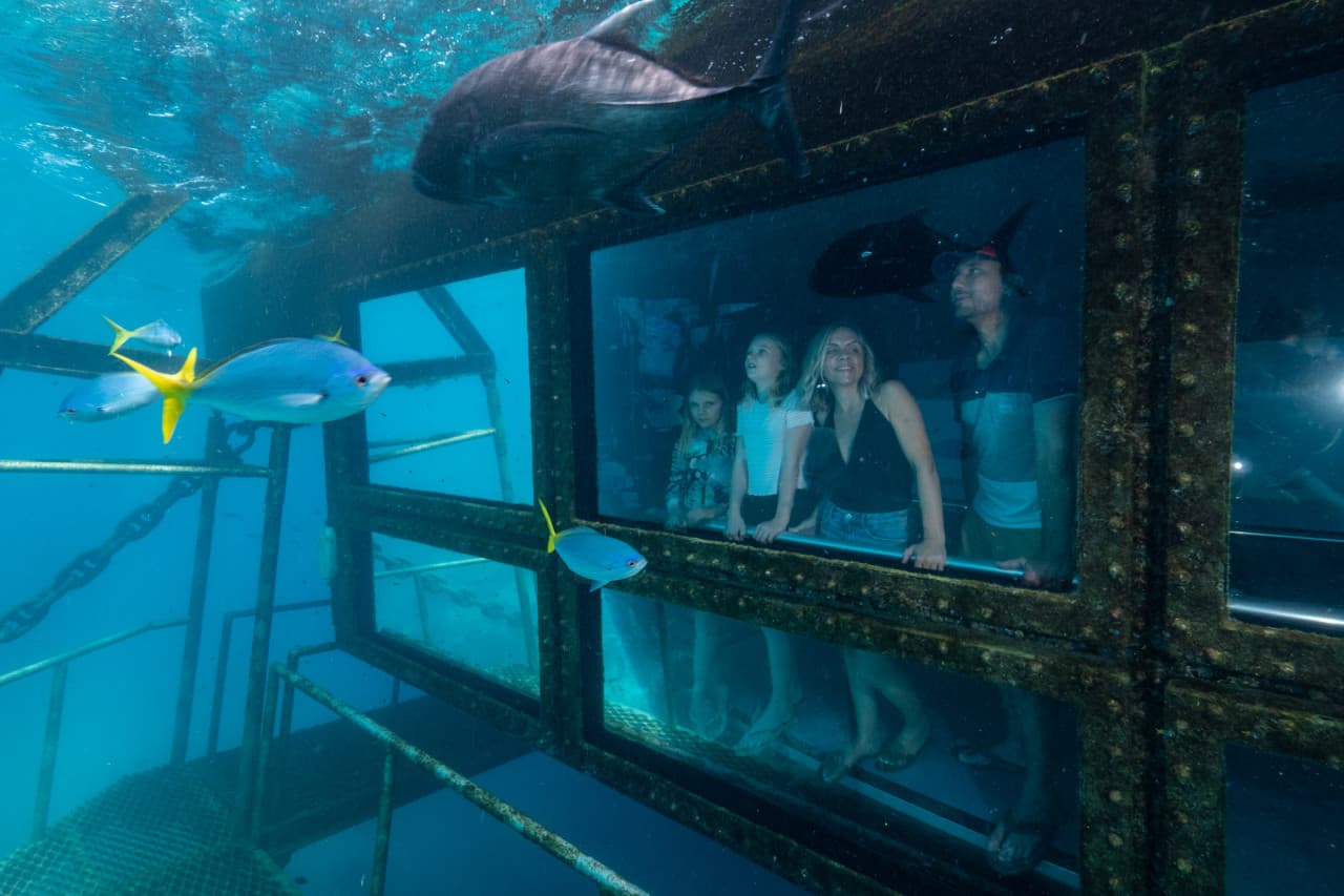 Reef Magic Pontoon Tour from Cairns