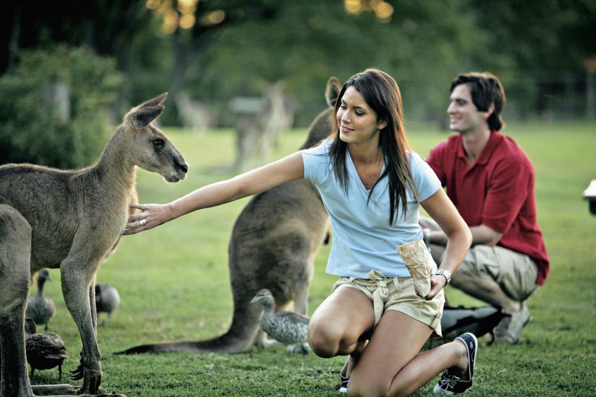 Currumbin Wildlife Sanctuary Ticket