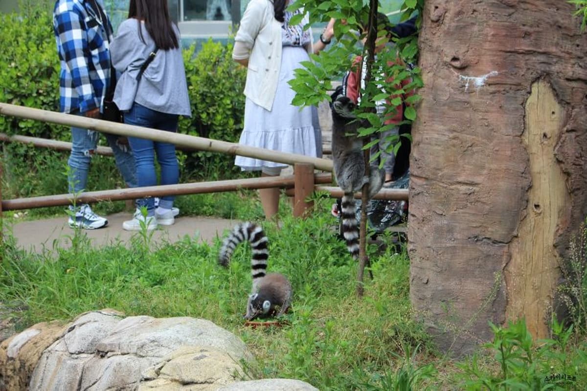 Seoul Land Theme Park