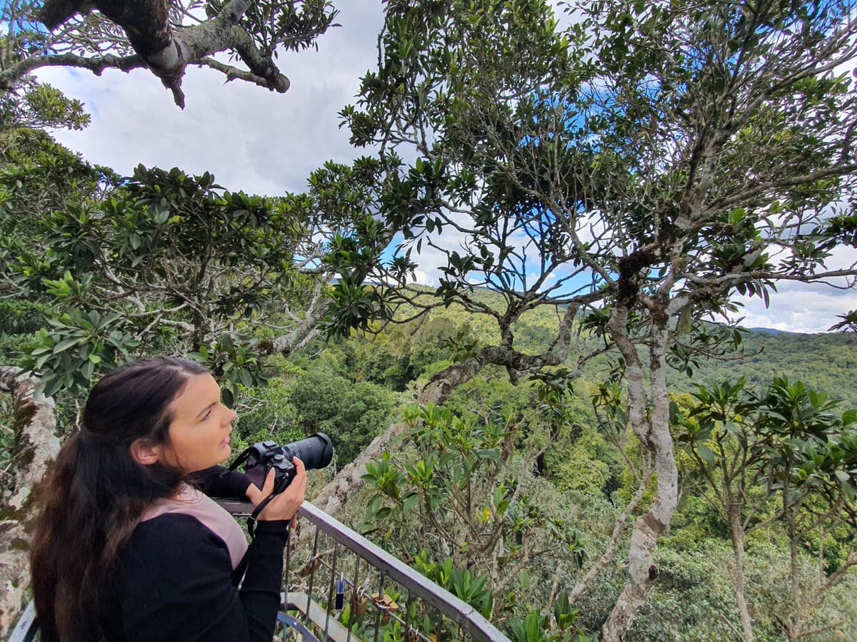 Lamington National Park Tour: O'Reilly's Rainforest Retreat and Canungra Valley Vineyard