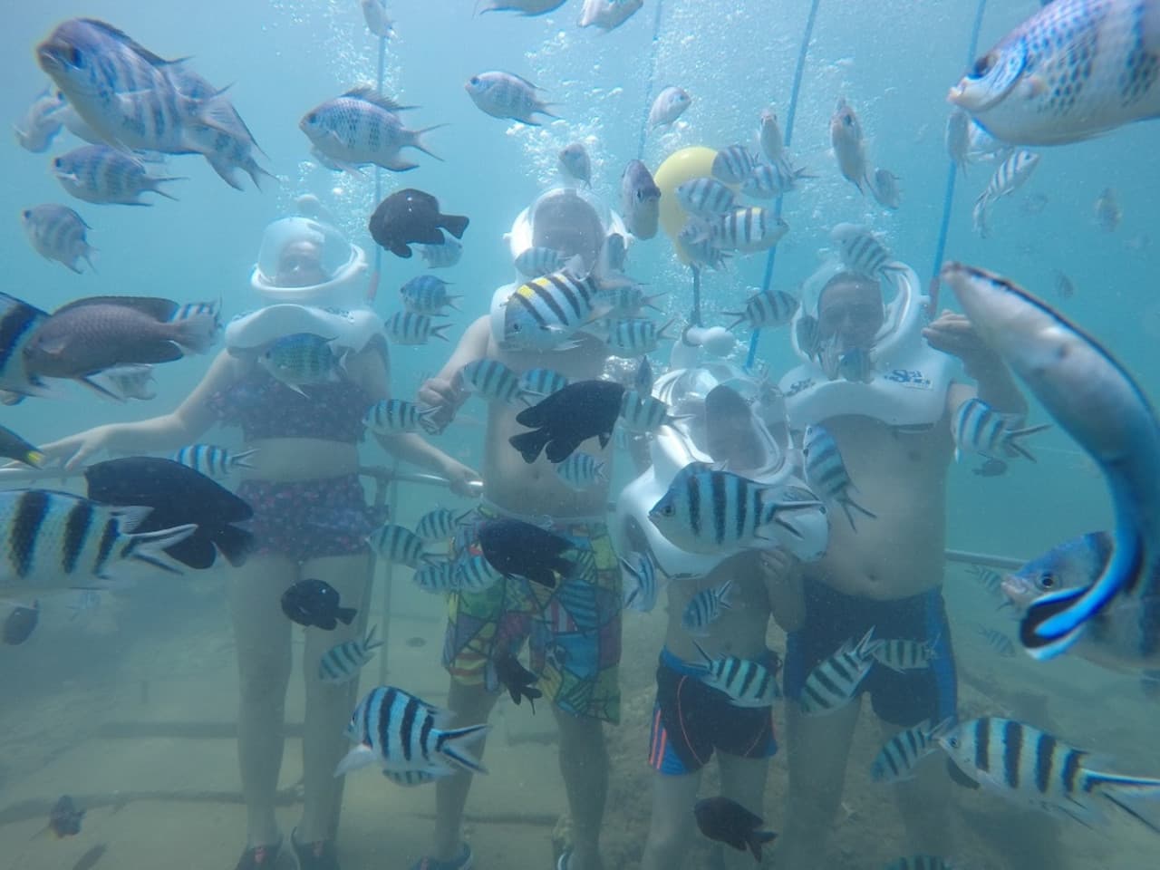 Cham Islands Underwater Walking and Snorkelling Half-Day Tour from Da Nang