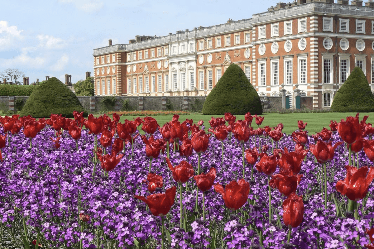 Hampton Court Palace Ticket