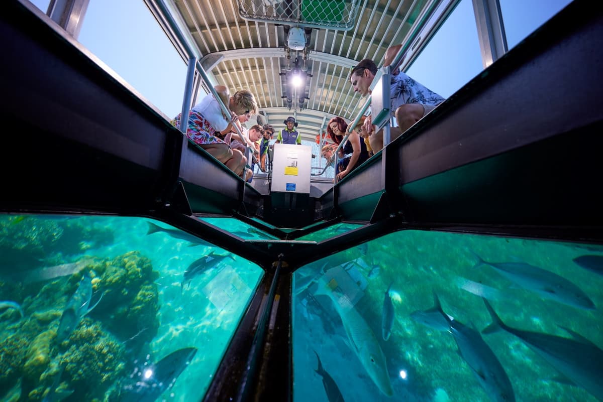 Green Island Reef Full-Day Cruise