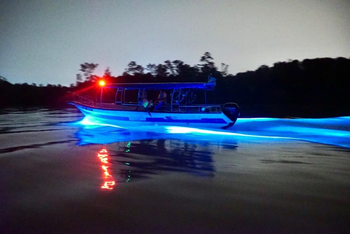Blue Tears Boat Cruise in Kuala Selangor