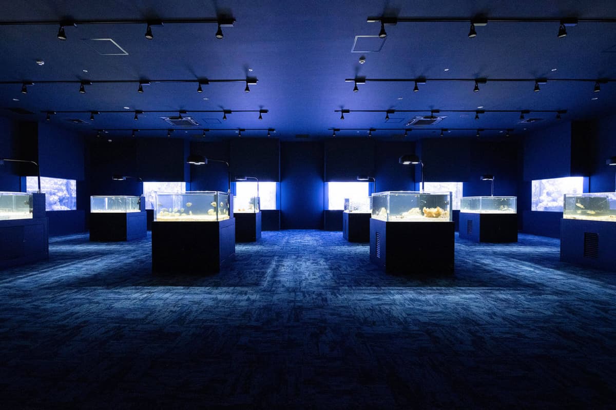 Okinawa DMM Kariyushi Aquarium