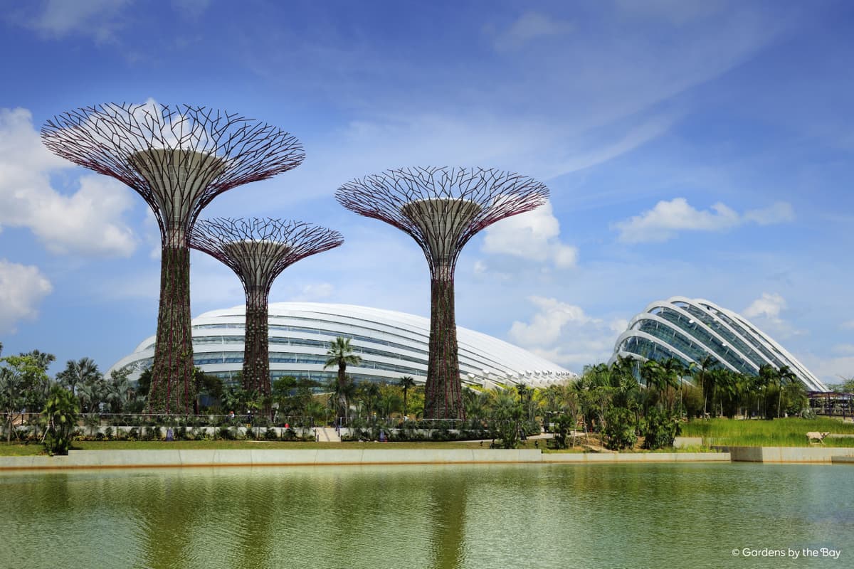 COMBO: Singapore Flyer + Gardens by the Bay Ticket