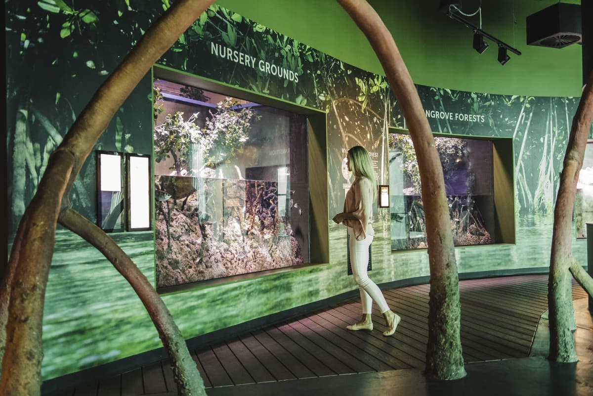 Cairns Aquarium Ticket