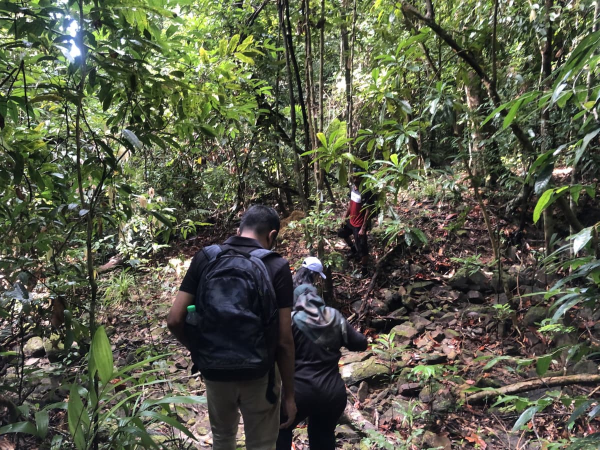 Langkawi Rainforest Trekking