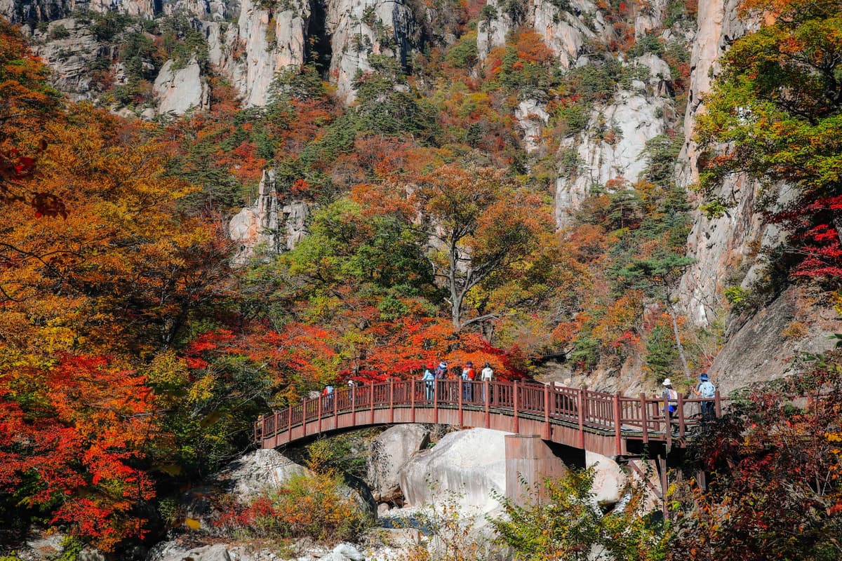 Nami Island, Mount Seorak, and Gapyeong Rail Bike Full-Day Tour from Seoul