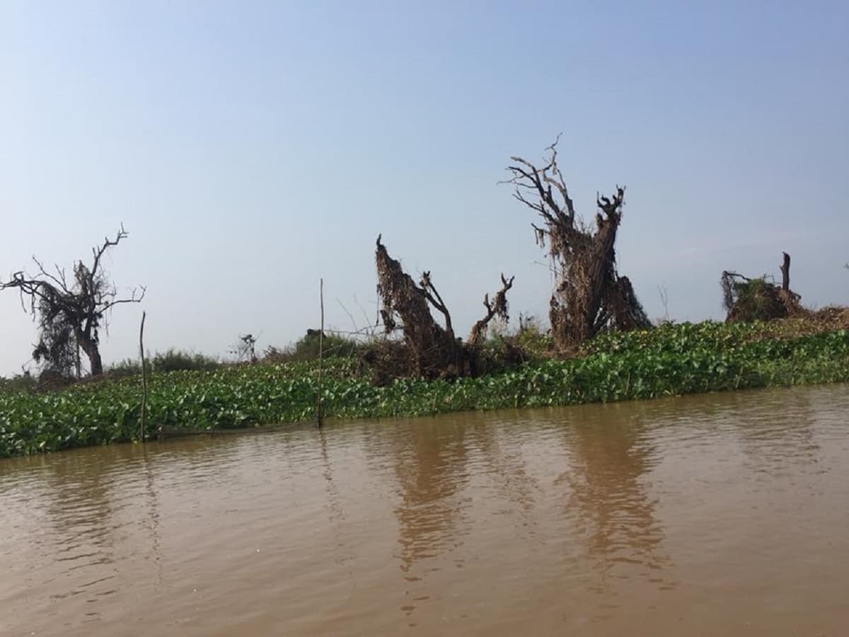 Tonle Sap Floating Village Tour
