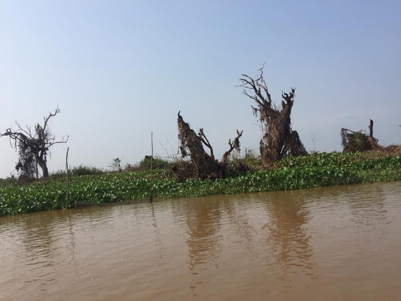 Tonle Sap Floating Village Tour