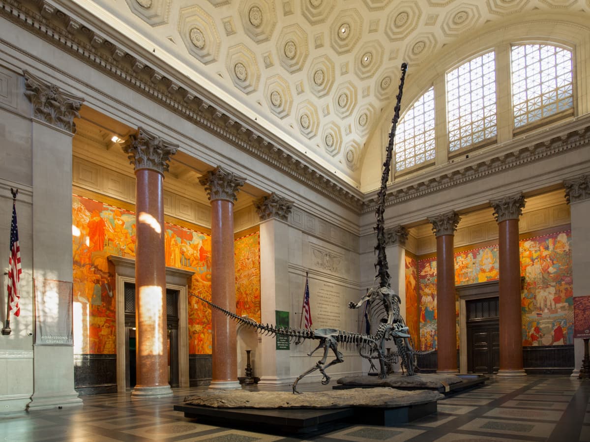 Go City New York Essential Pass: Save up to 50% on Attractions
