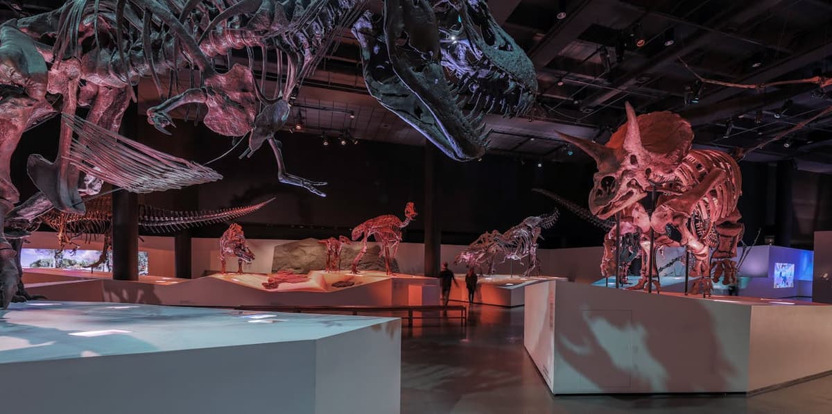 Houston Museum of Natural Science Ticket