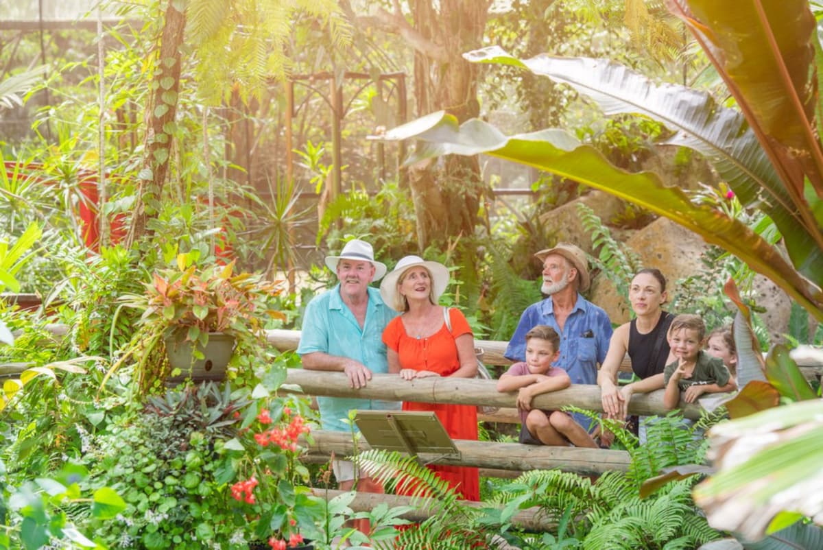 Kuranda Tour from Port Douglas