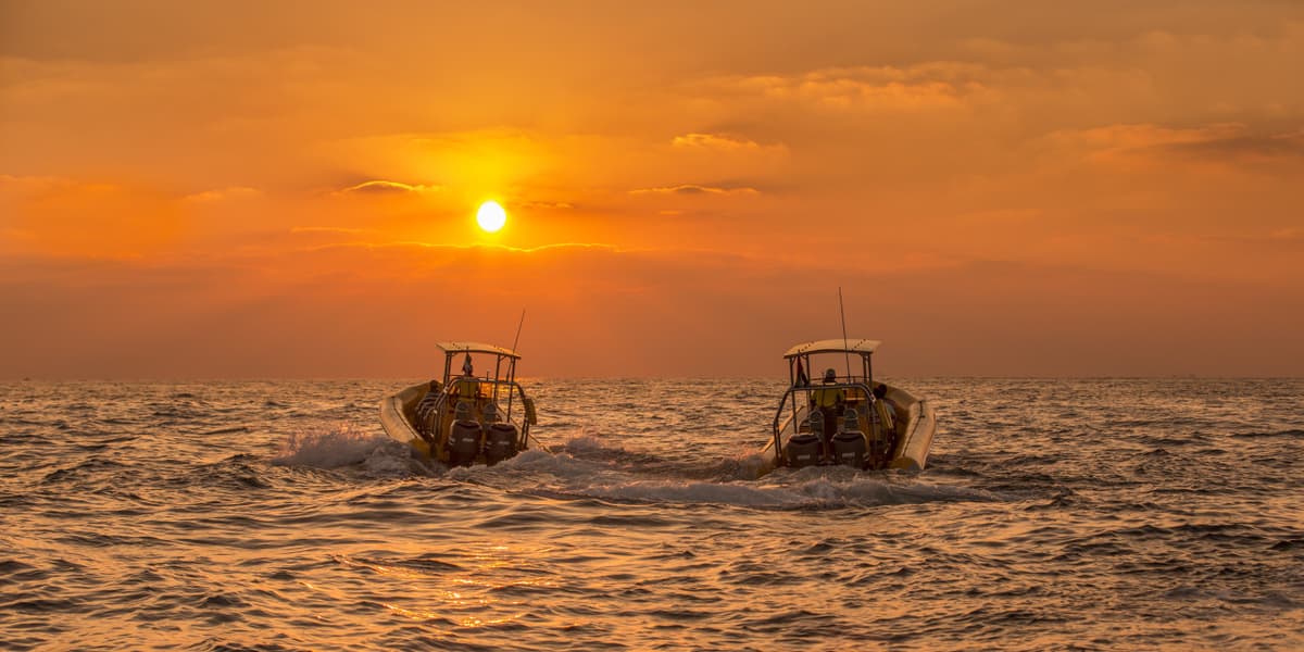 The Yellow Boats Dubai Speedboat Tour