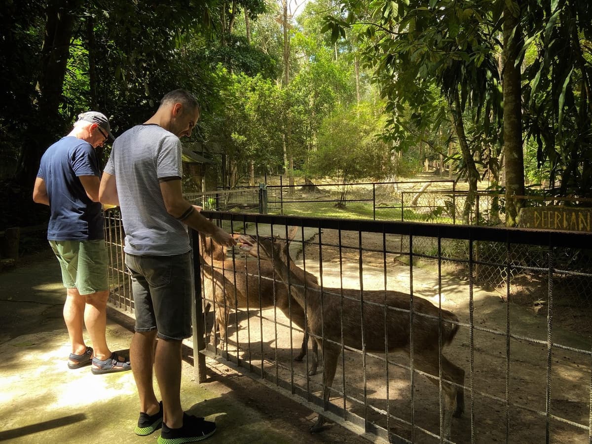 Batu Caves and Kuala Gandah Elephant Sanctuary Full-Day Tour from Kuala Lumpur