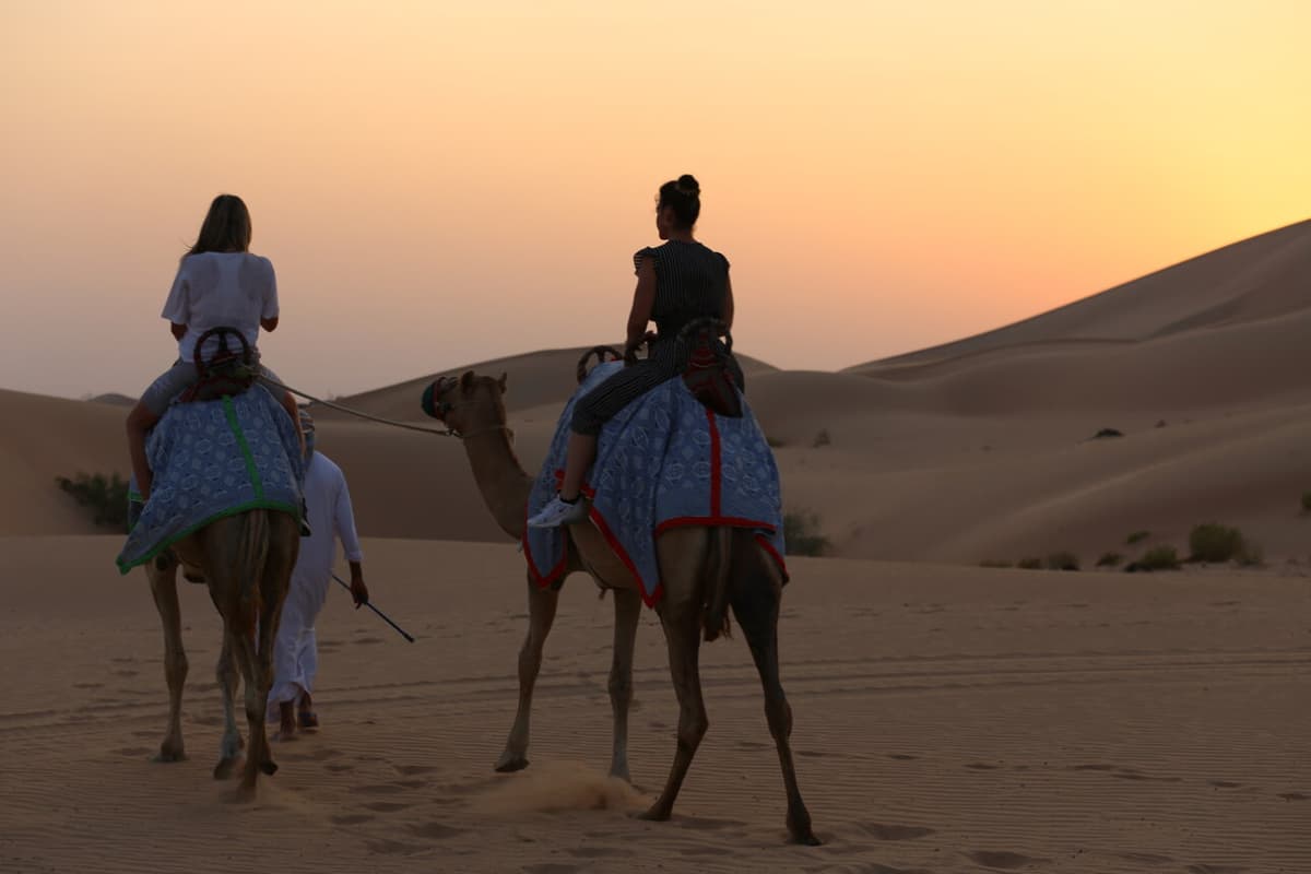 Evening Desert Safari Tour from Dubai with BBQ Dinner