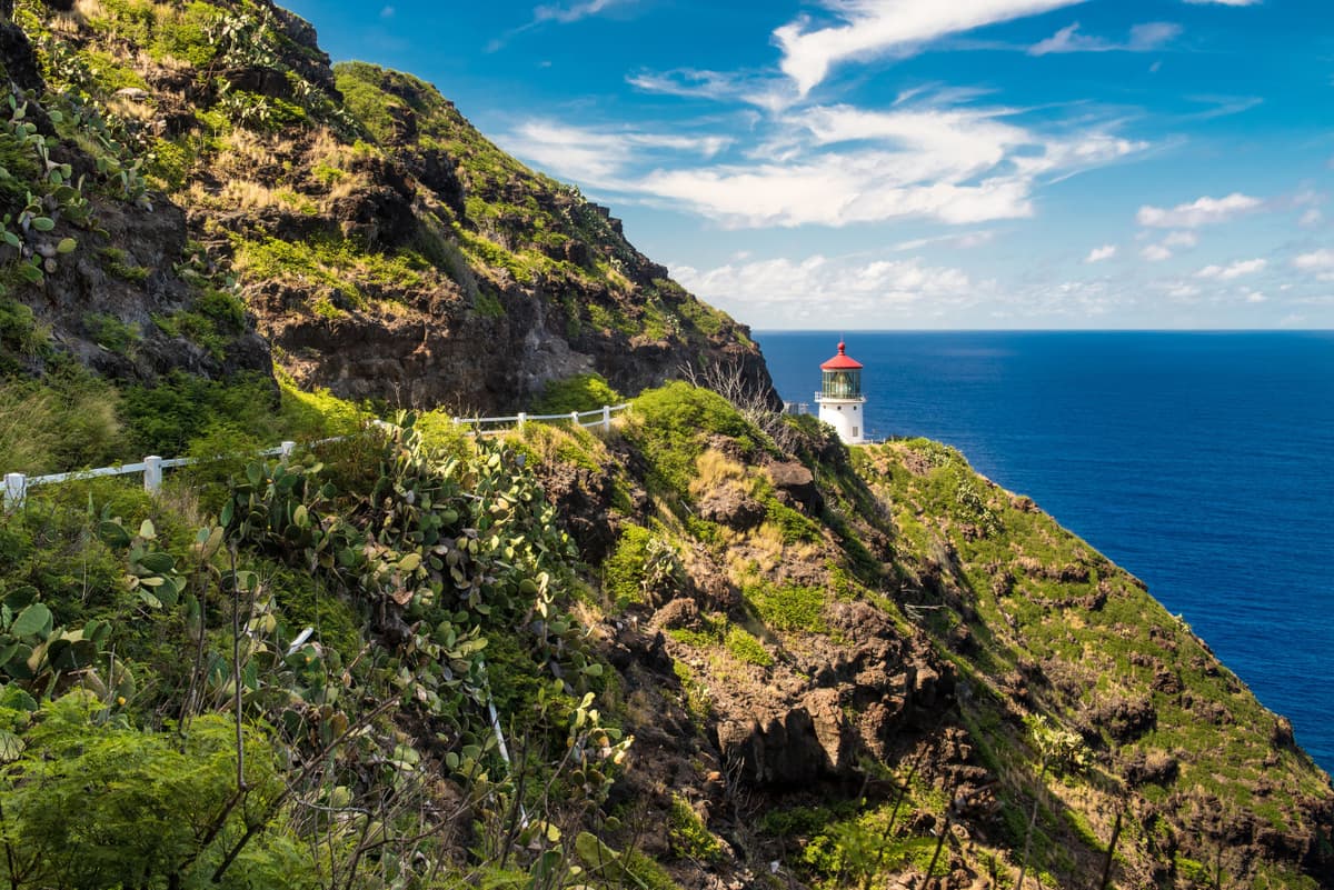 Go City Oahu Explorer Pass: Save up to 50% on Attractions