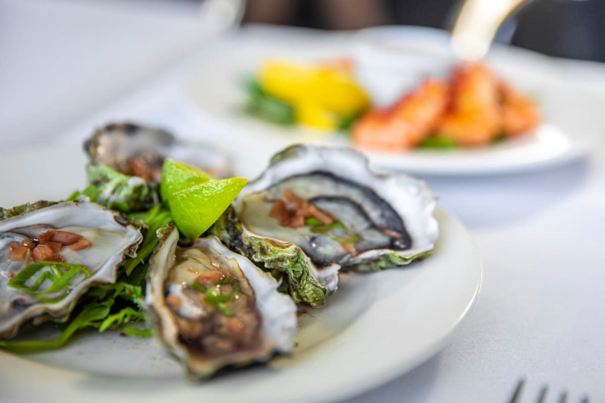 Cairns City Tours
