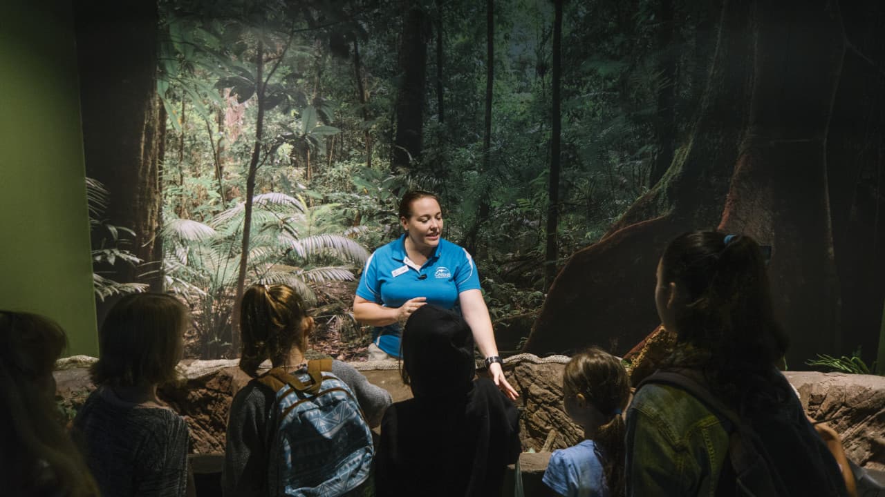 Cairns Aquarium Ticket