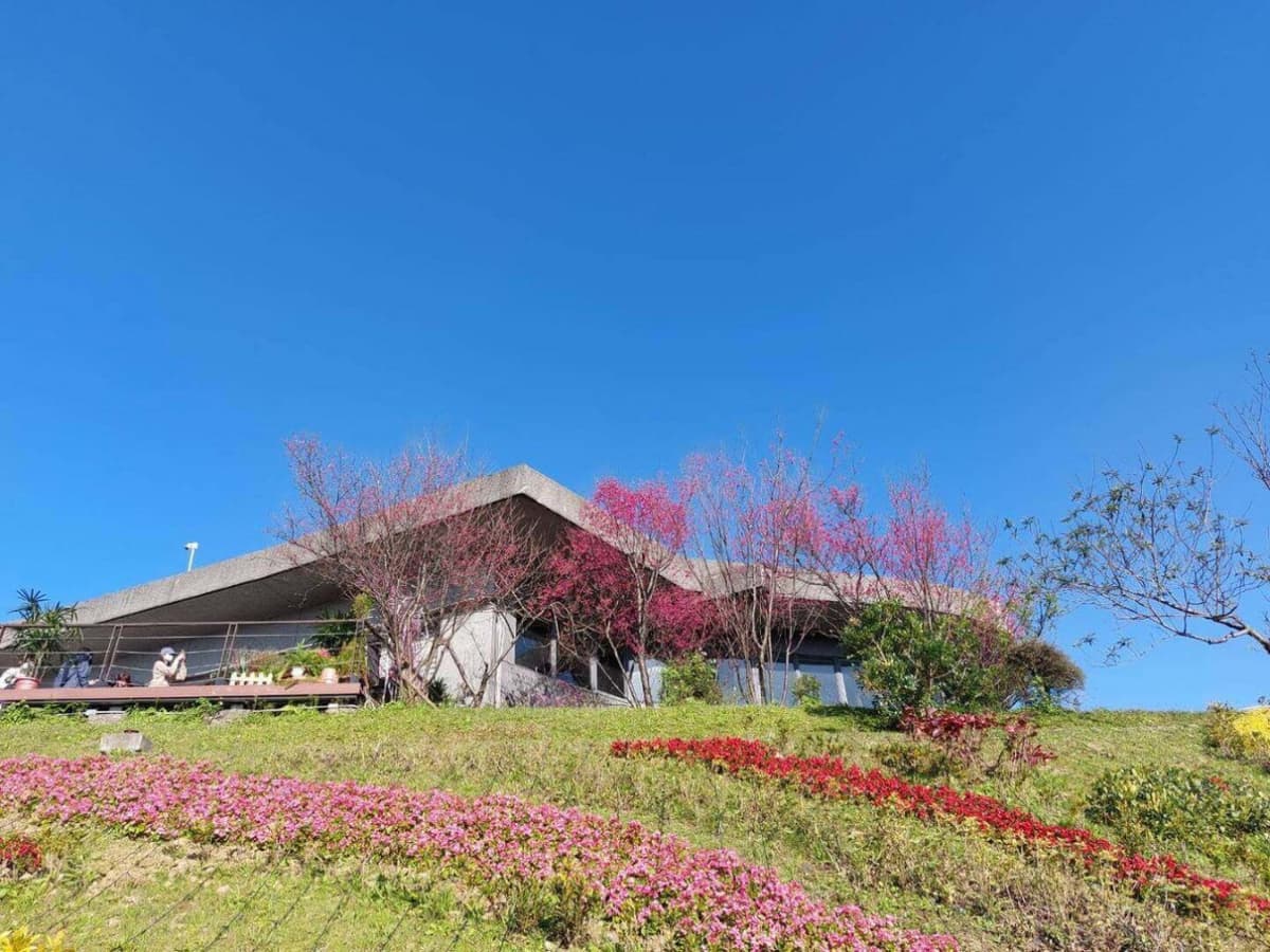 Pinglin Tea Culture and Maokong Full-Day Tour from Taipei