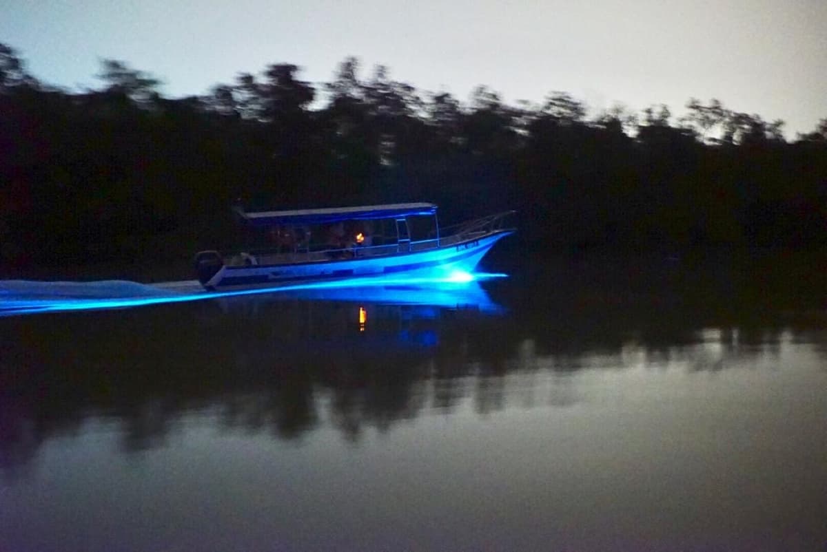 Blue Tears Boat Cruise in Kuala Selangor