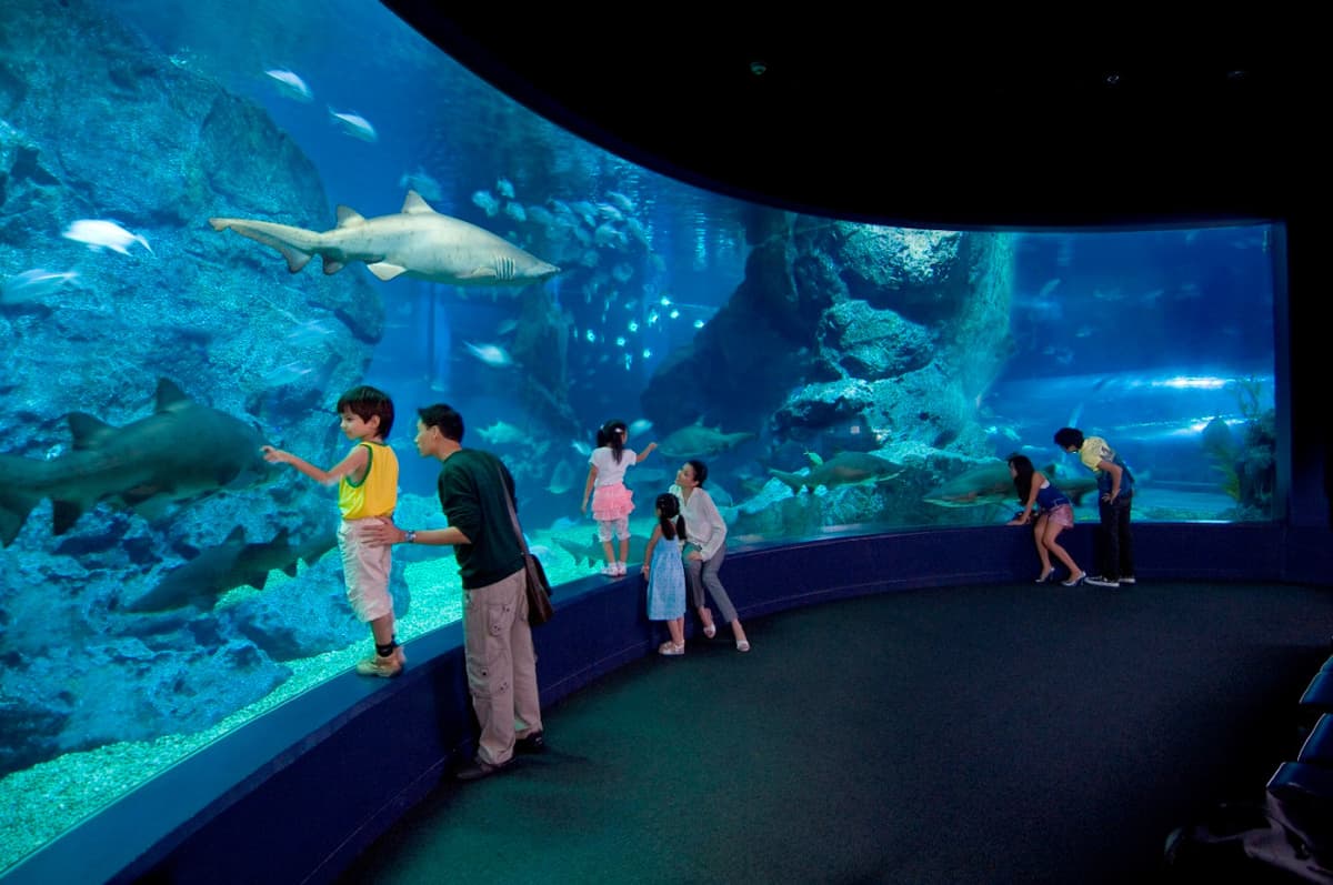 COMBO: SEA LIFE Bangkok Ocean World + Madame Tussauds Bangkok Tickets