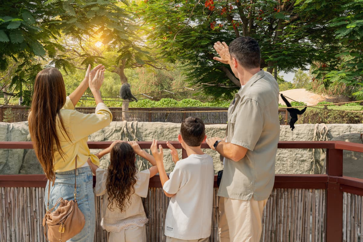Dubai Safari Park Ticket