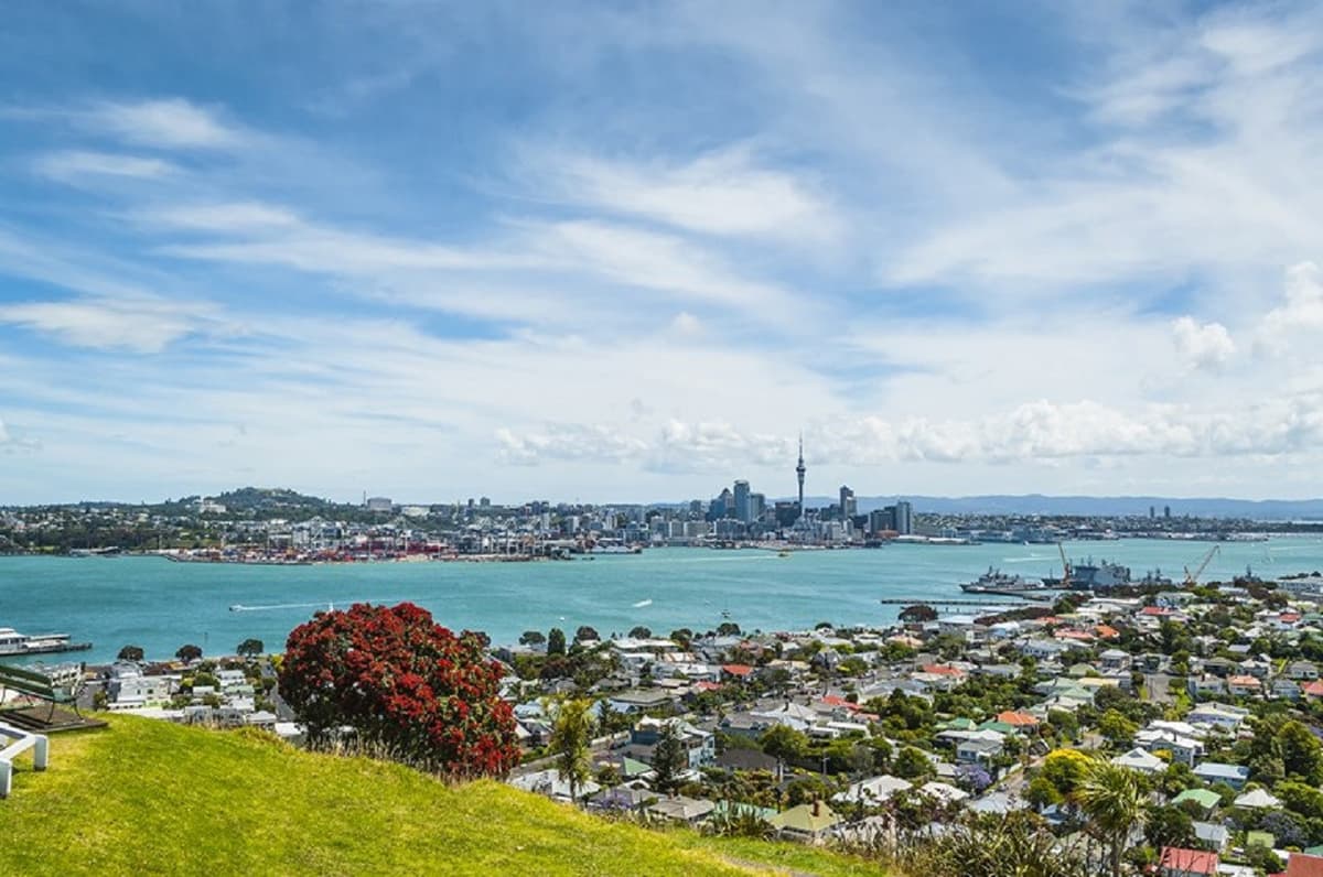 Auckland Harbour Cruise