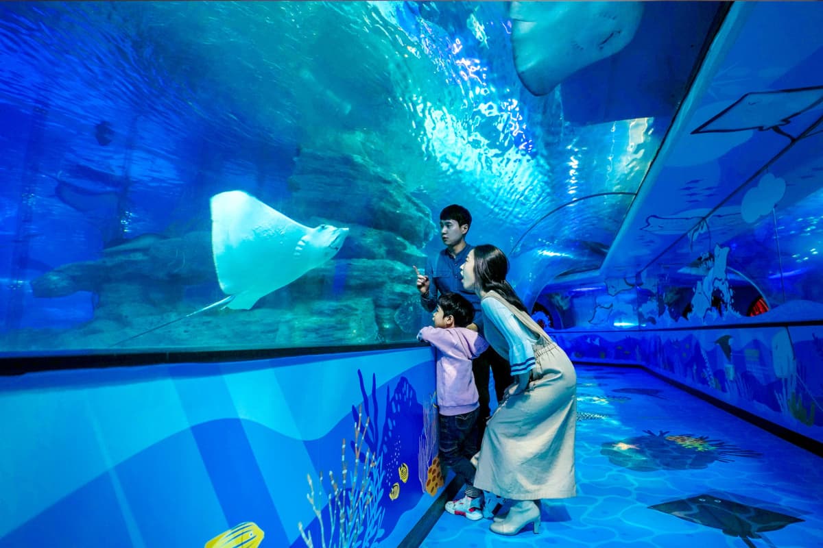 SEA LIFE Busan Aquarium Ticket
