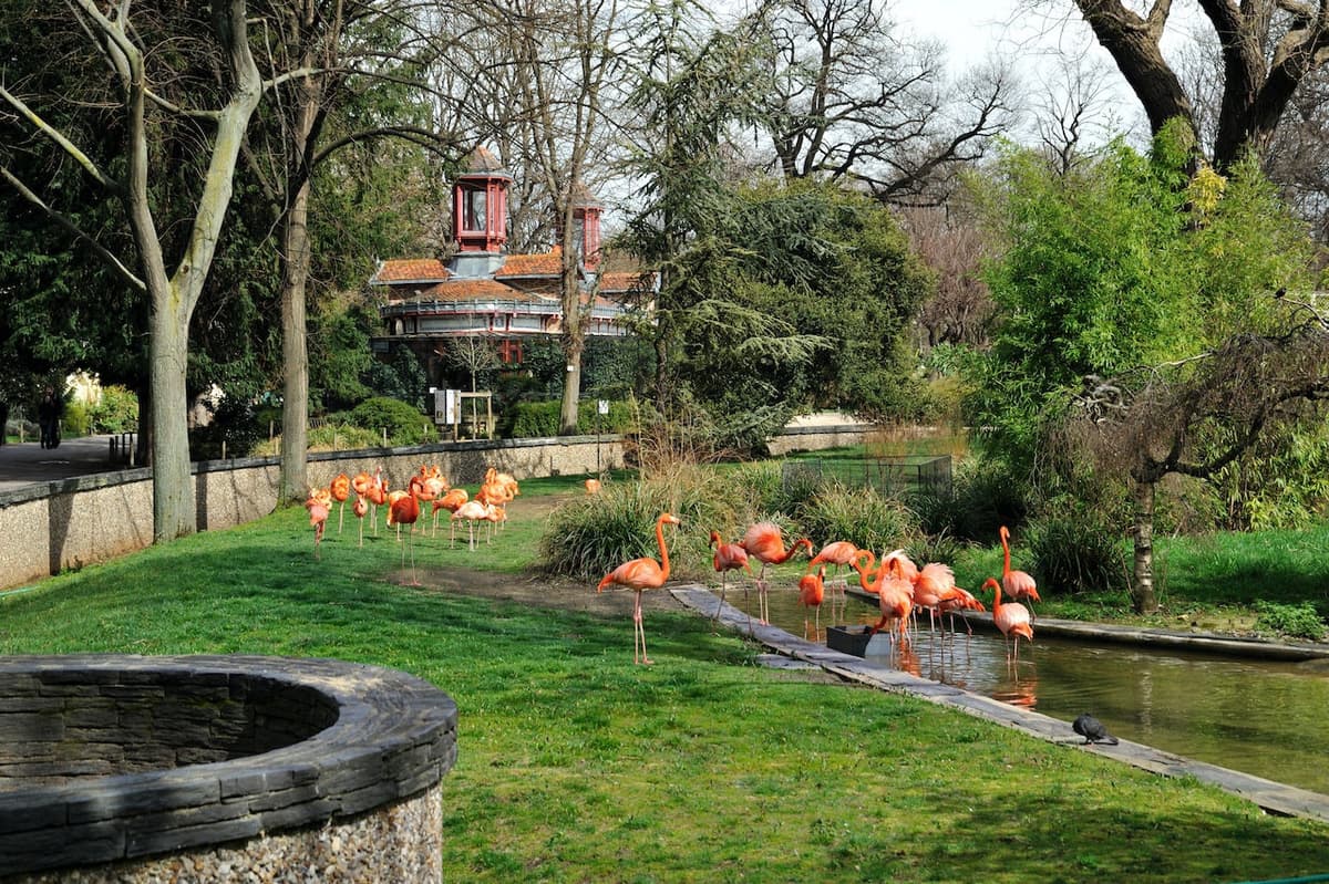 Ménagerie, Zoo of the Jardin des Plantes