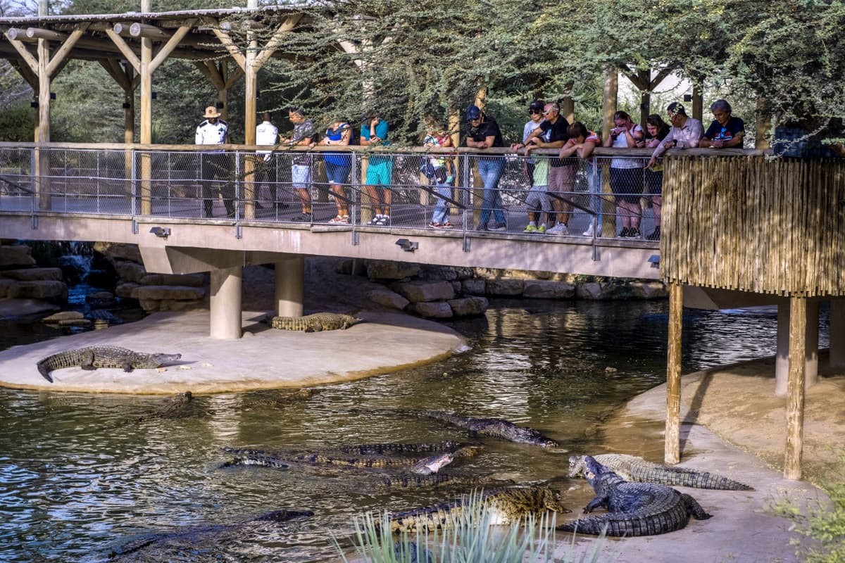Dubai Crocodile Park
