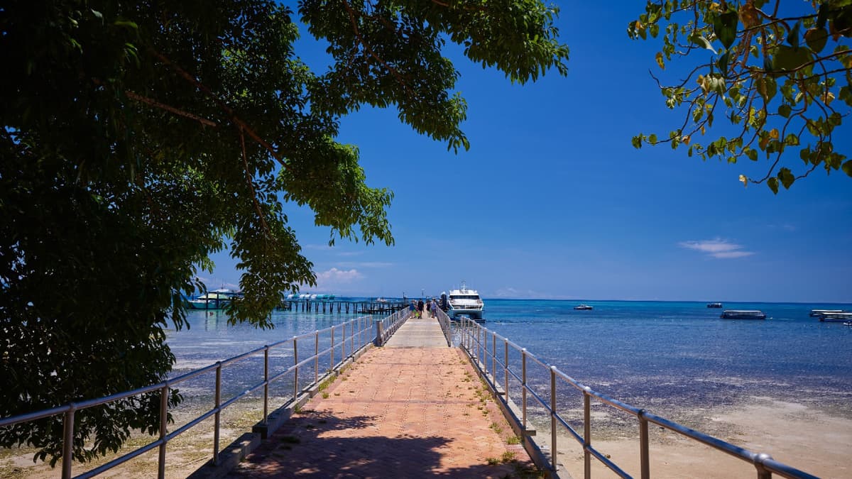 Green Island Great Barrier Reef Half Day Tour from Cairns