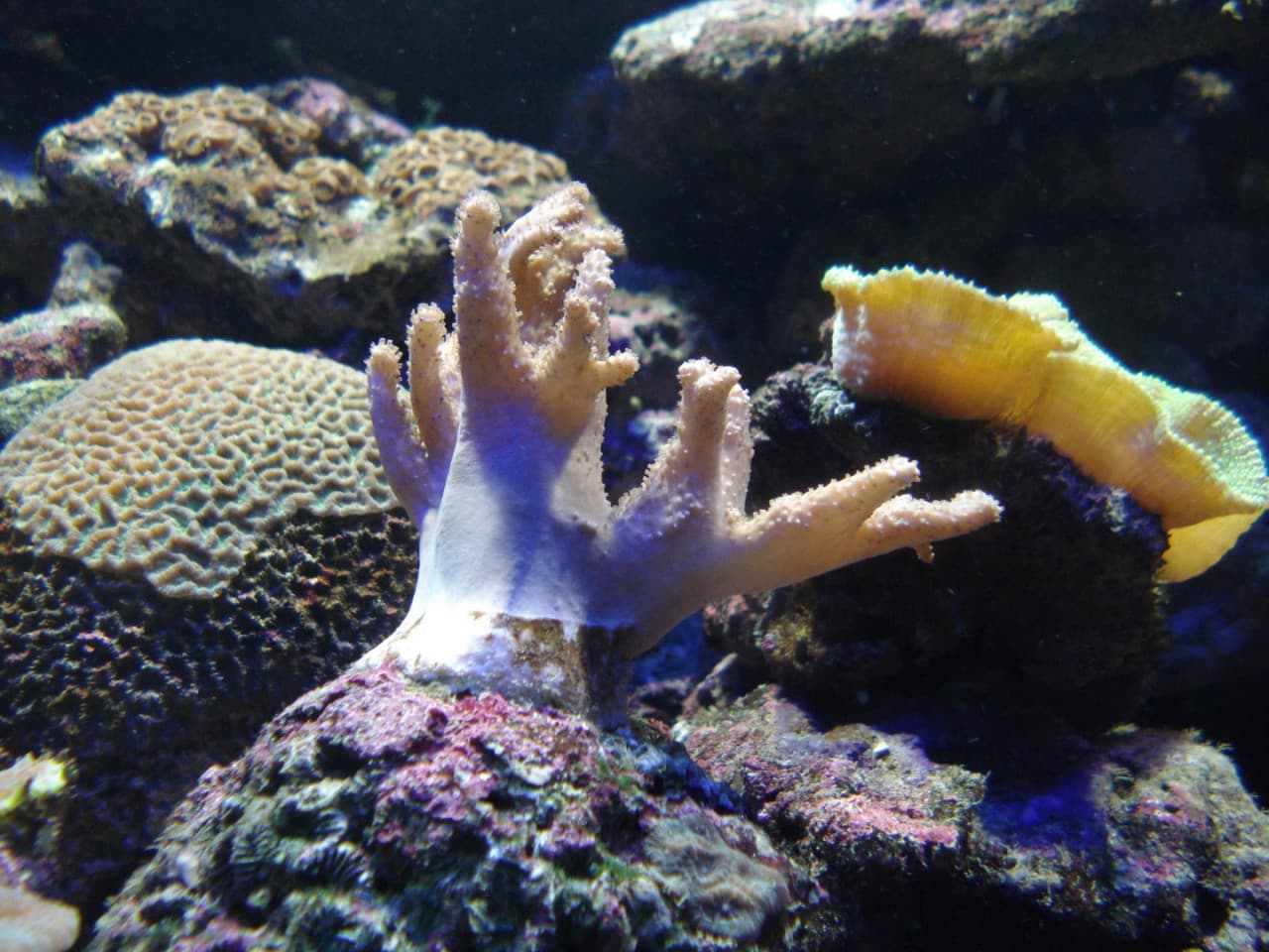 Underwater World Langkawi Ticket