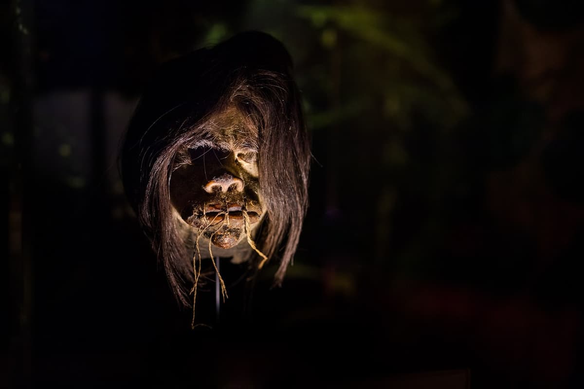 Ripley's Believe It or Not! Amsterdam