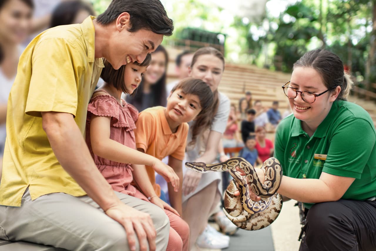 5-in-1 Day Pass: Night Safari + Singapore Zoo + Bird Paradise + River Wonders + Rainforest Asia